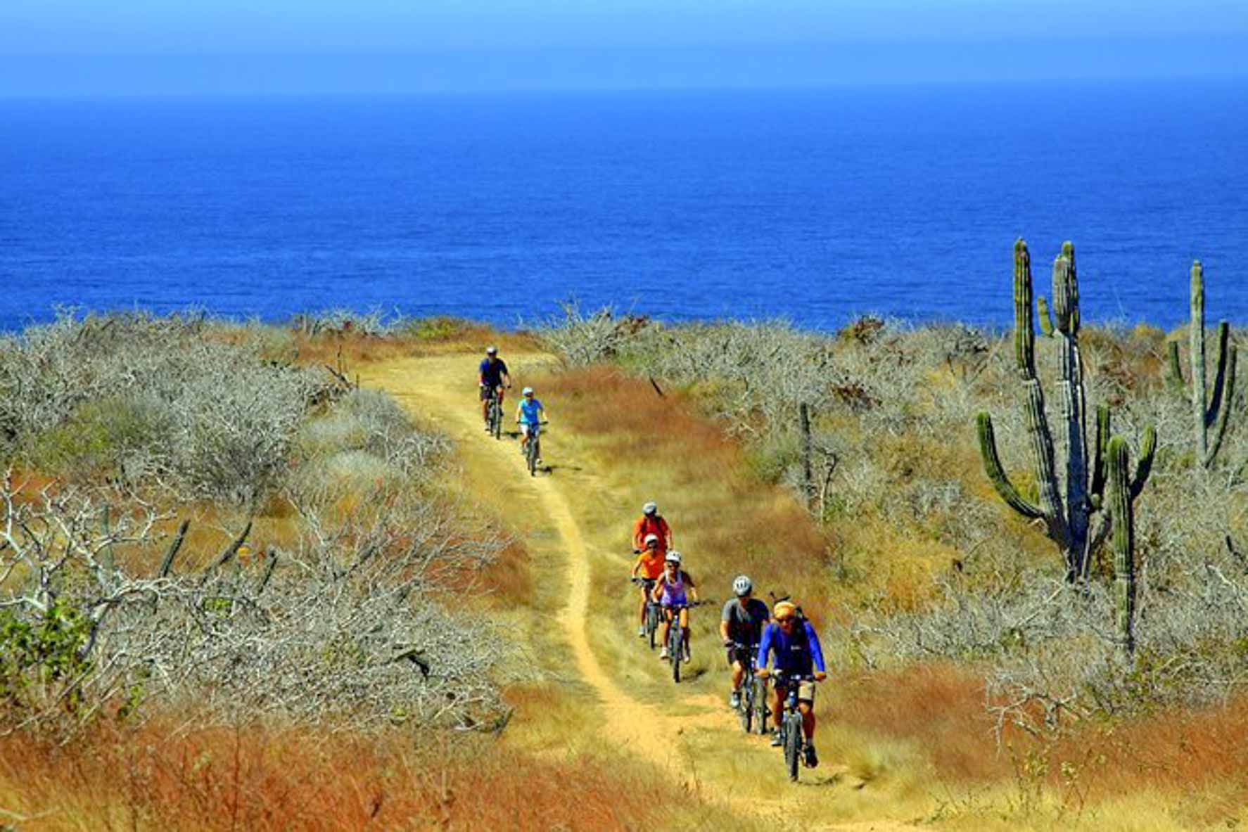 todos santos mountain biking