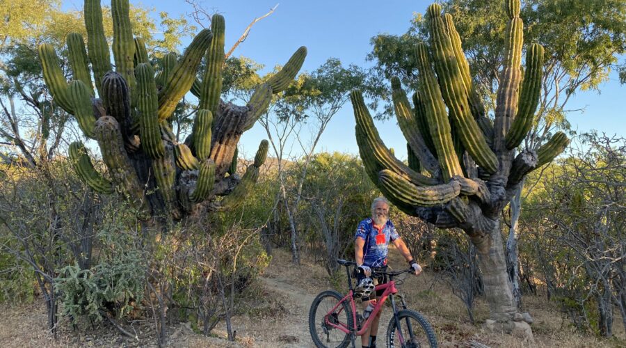 I Bet You Didn’t Know This Much About Mountain Biking in Los Cabos