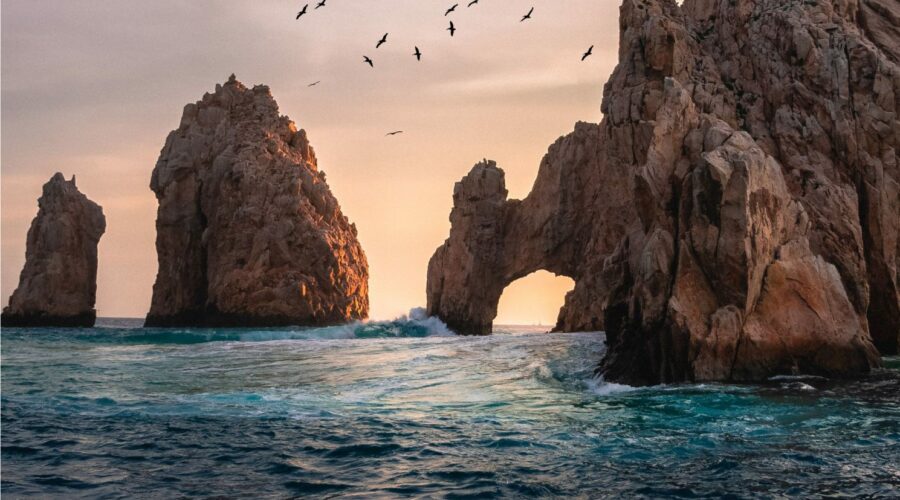 Los Cabos, a luxury oasis where nature, luxury, and adventure collide.