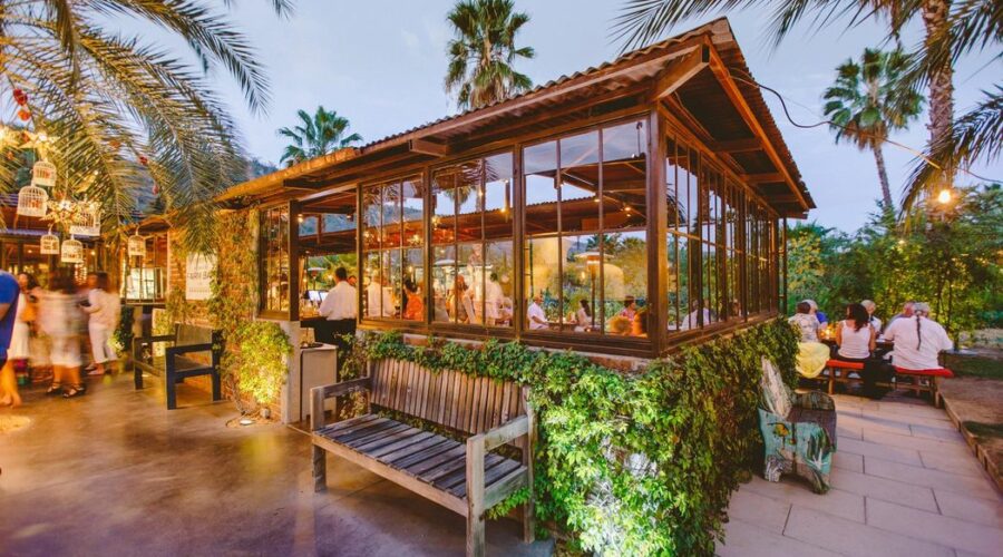Unveiling Authentic Farm-to-Table Experiences in Los Cabos